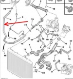 SP 1317t5 - Coolant Hose